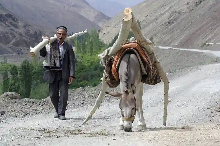    Источник: asiaplustj.info