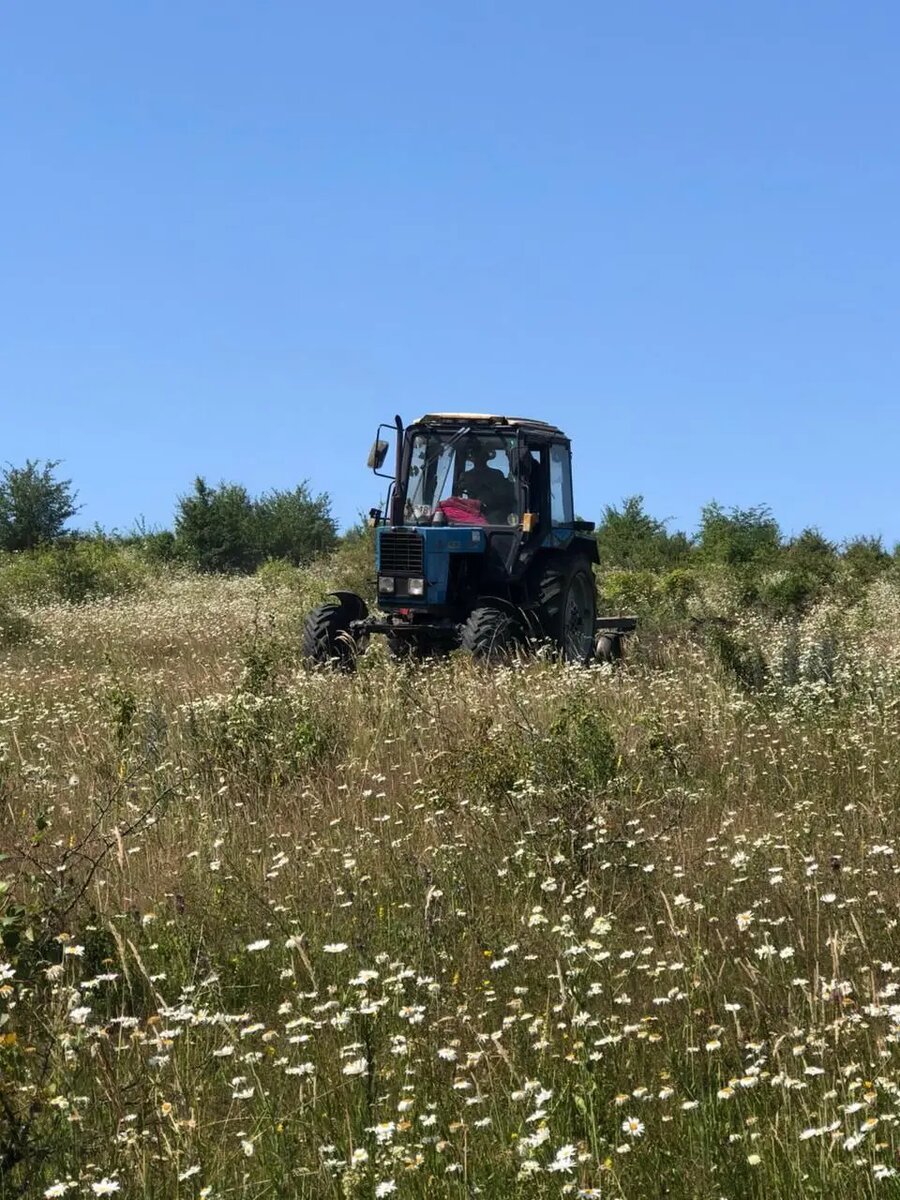 Фото:администрация Назрановского района РИ