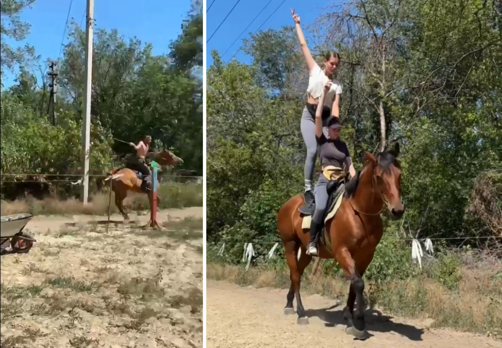    Фото и видео предоставлено администрацией Октябрьского района Ростовской области Марина Ецкова