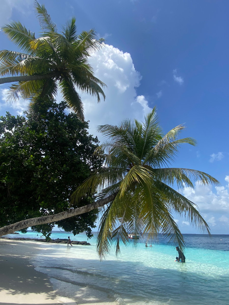 Из архива автора