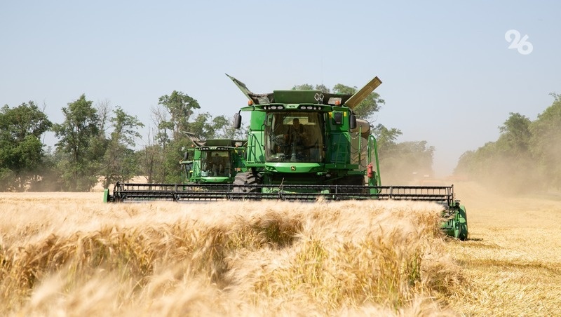      Фото: Валерия Алтухова / / ИА «Победа26»