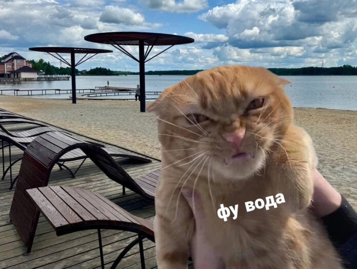 Фото: сообщество ВКонтакте "Людиново Каждый День"