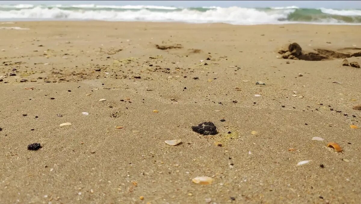     © РИА Новости. Григорий Колпаков