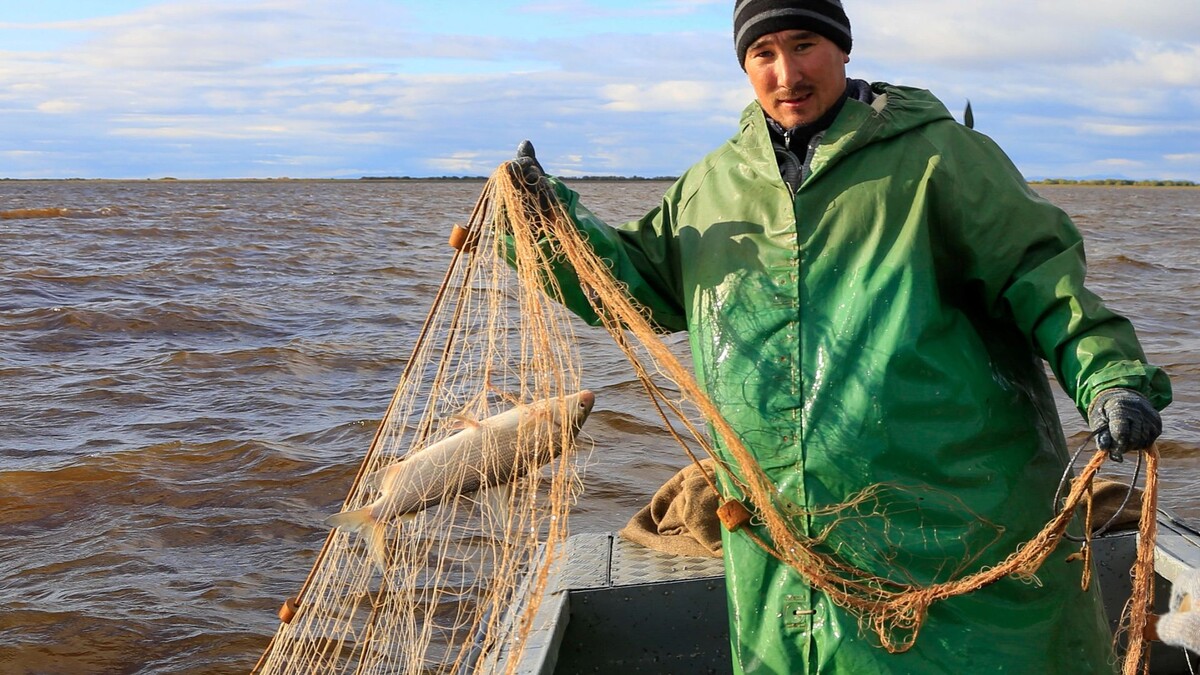    Фото: Андрей Ткачёв/АНО «Ямал-Медиа»