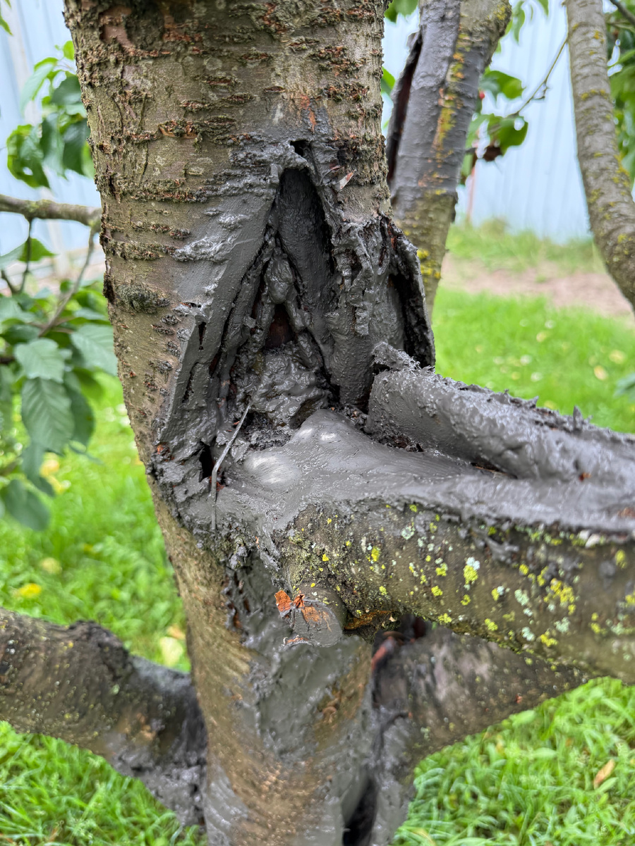 Обработано. 