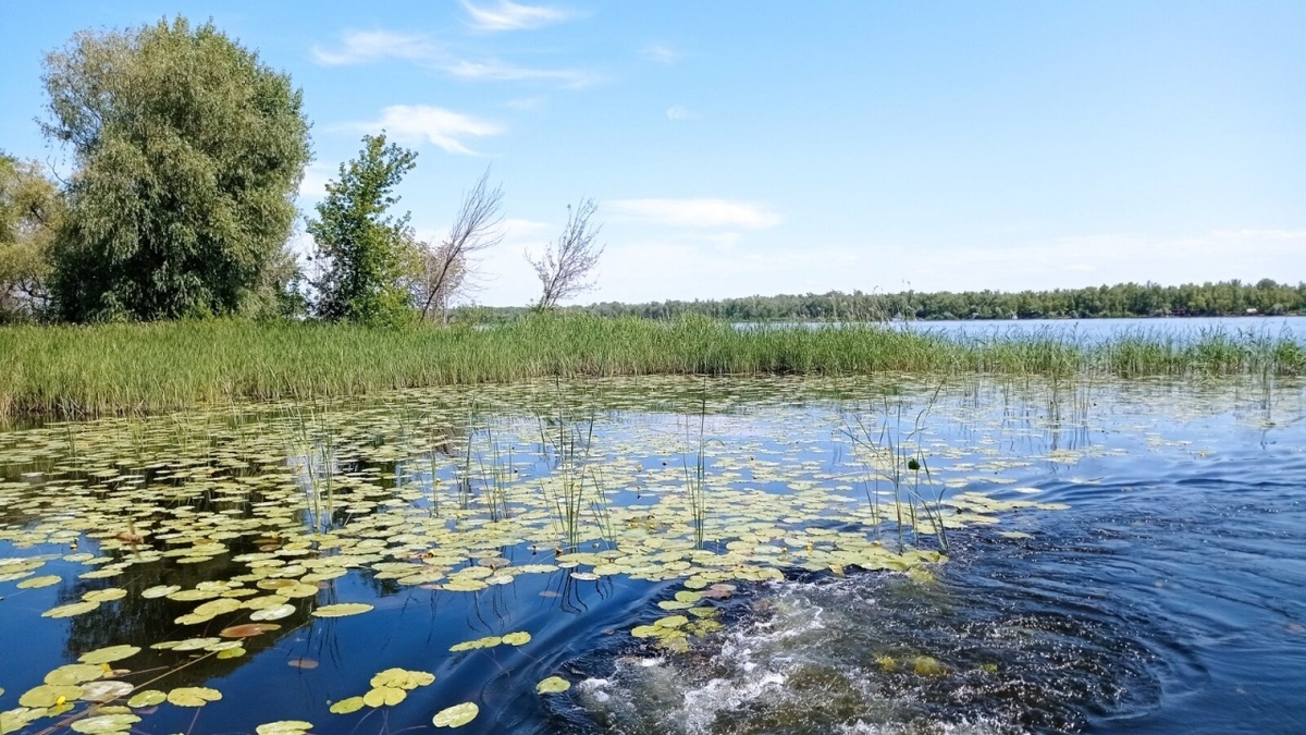    Саратовские власти продали реку Грязнушку за 2000 рублейНовости Саратова и области – Сетевое издание «Репортер64»