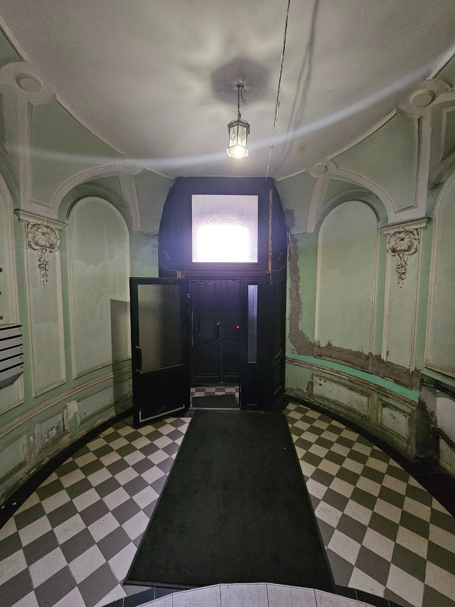 Вид на входную дверь (на улицу). Фото: Парадная гостья