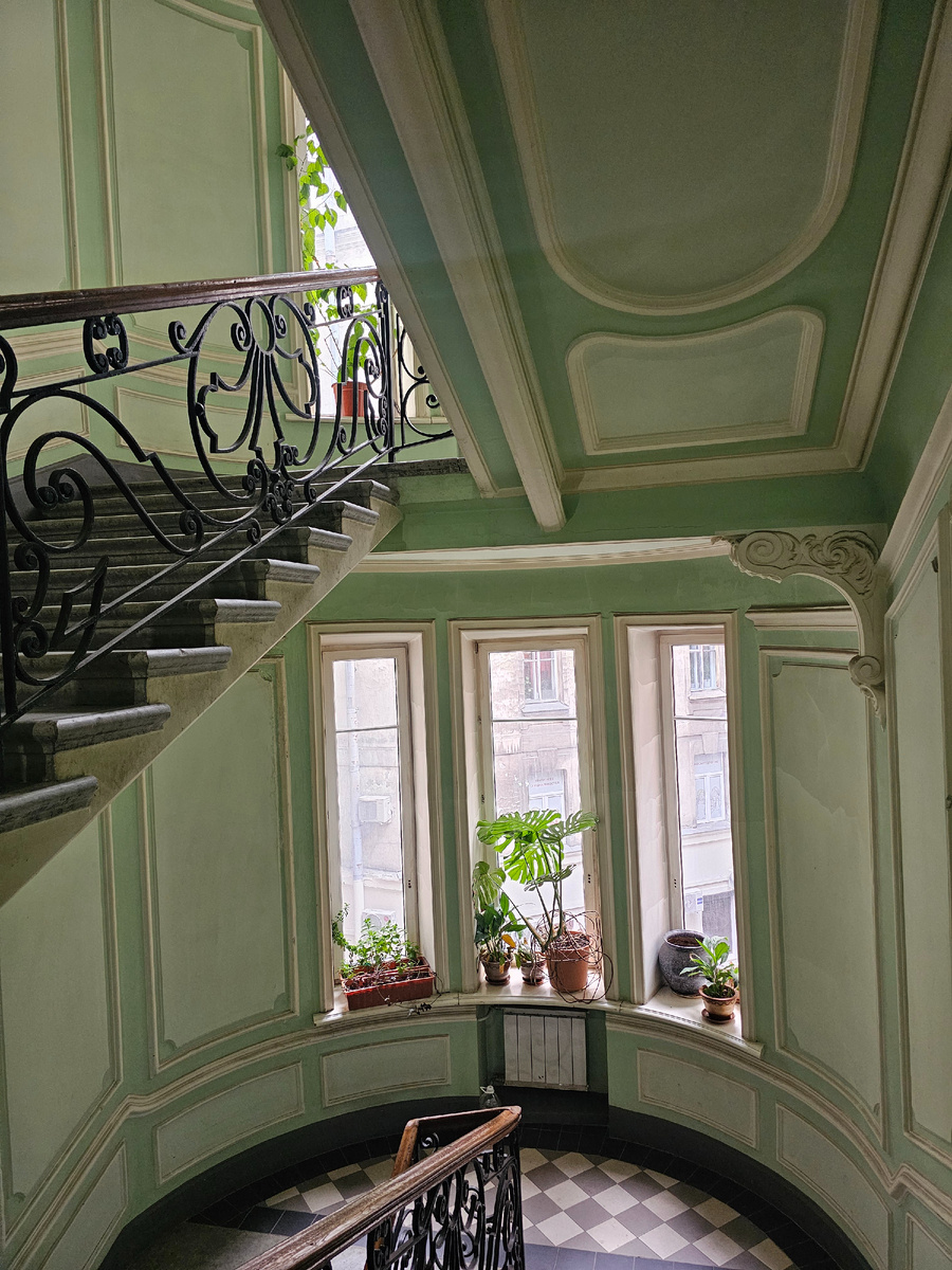 Подоконники украшают горшечные растения. Фото: Парадная гостья