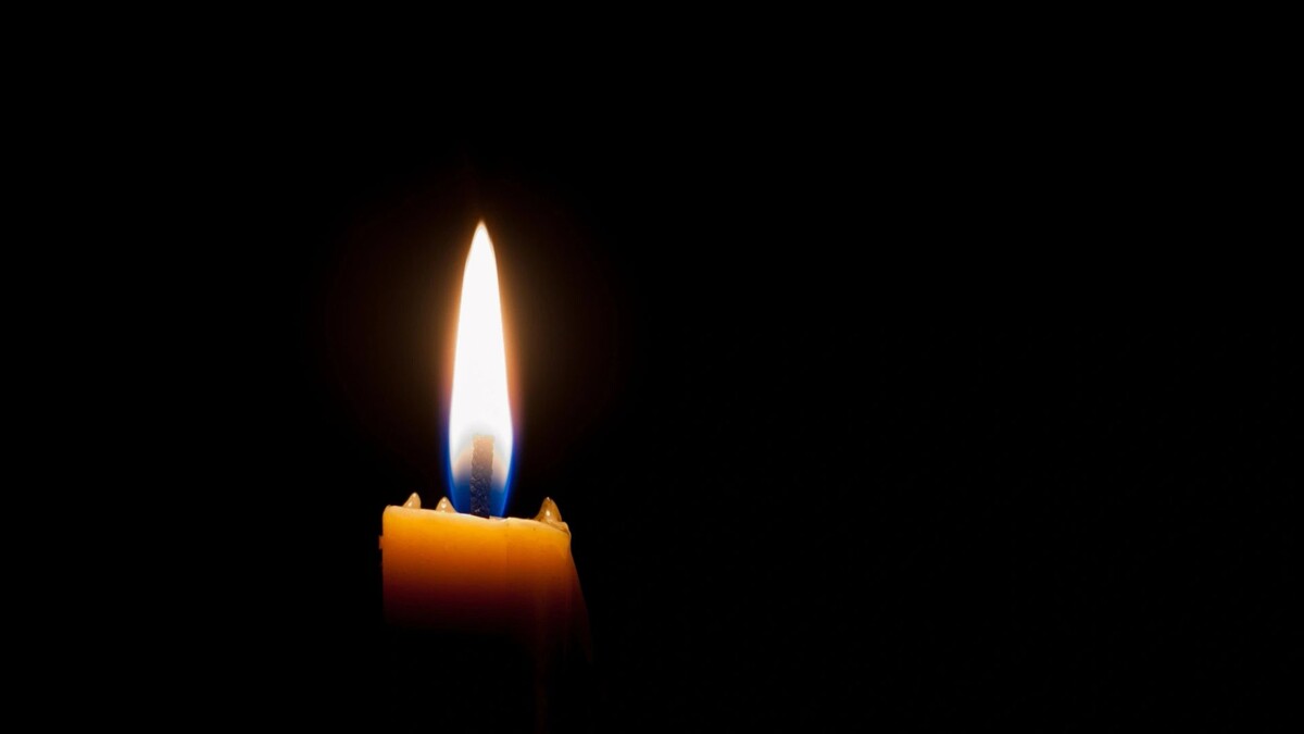    Фото: Yurii Klymko/Shutterstock/Fotodom