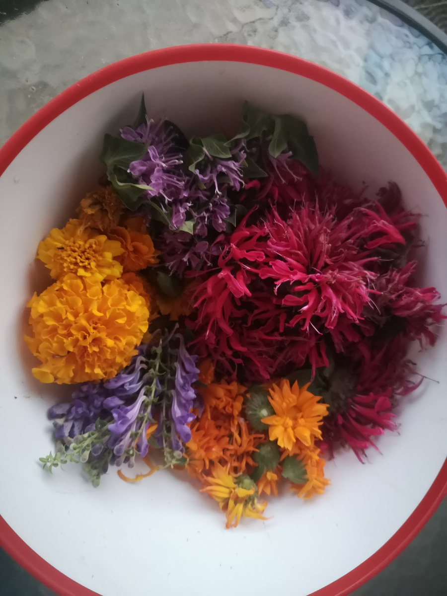 Два вида монарды, шлемник, бархатцы и ноготки