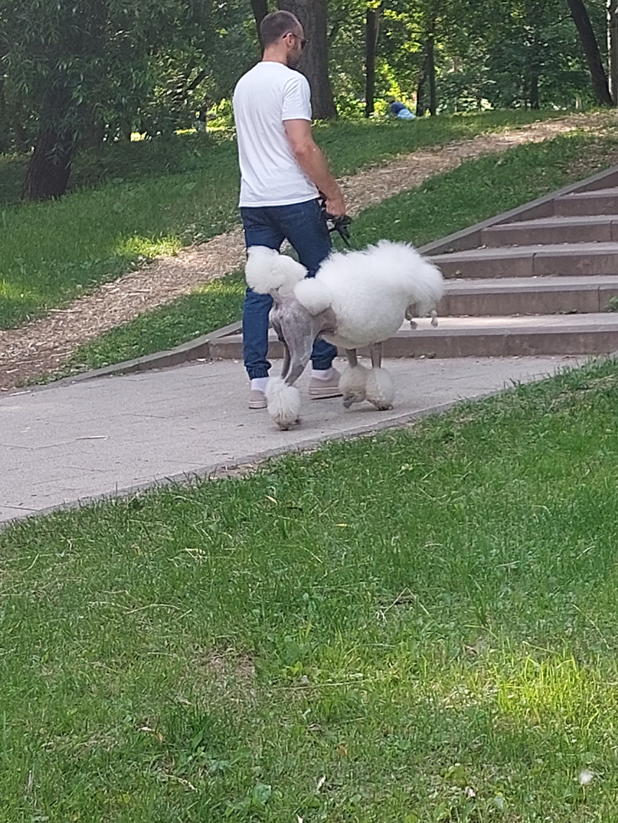 Фото автора