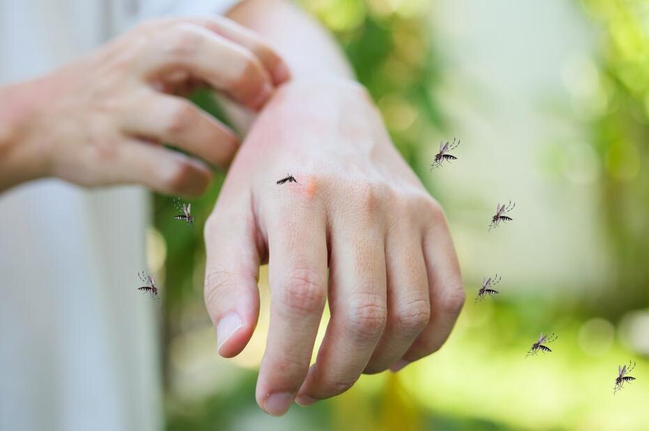    Shutterstock/FOTODOM