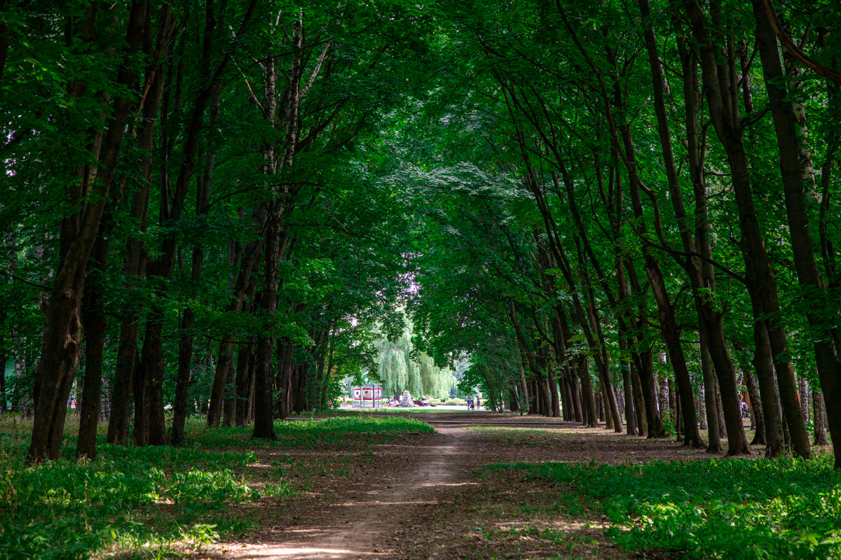 Фото: Тульская служба новостей