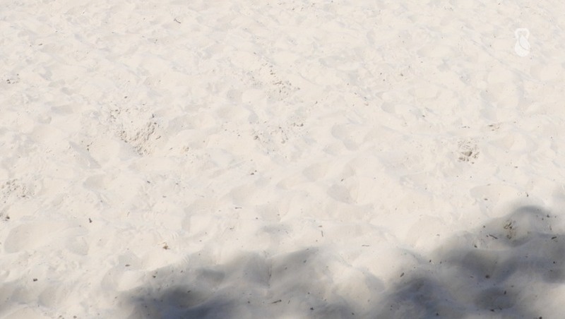    Городской пляж в Ипатовском округе привели в порядок по федеральной программе Фото: Дмитрий Ахмадуллин / / ИА «Победа26»