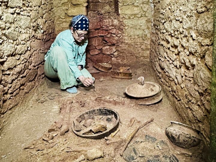   University of Houston