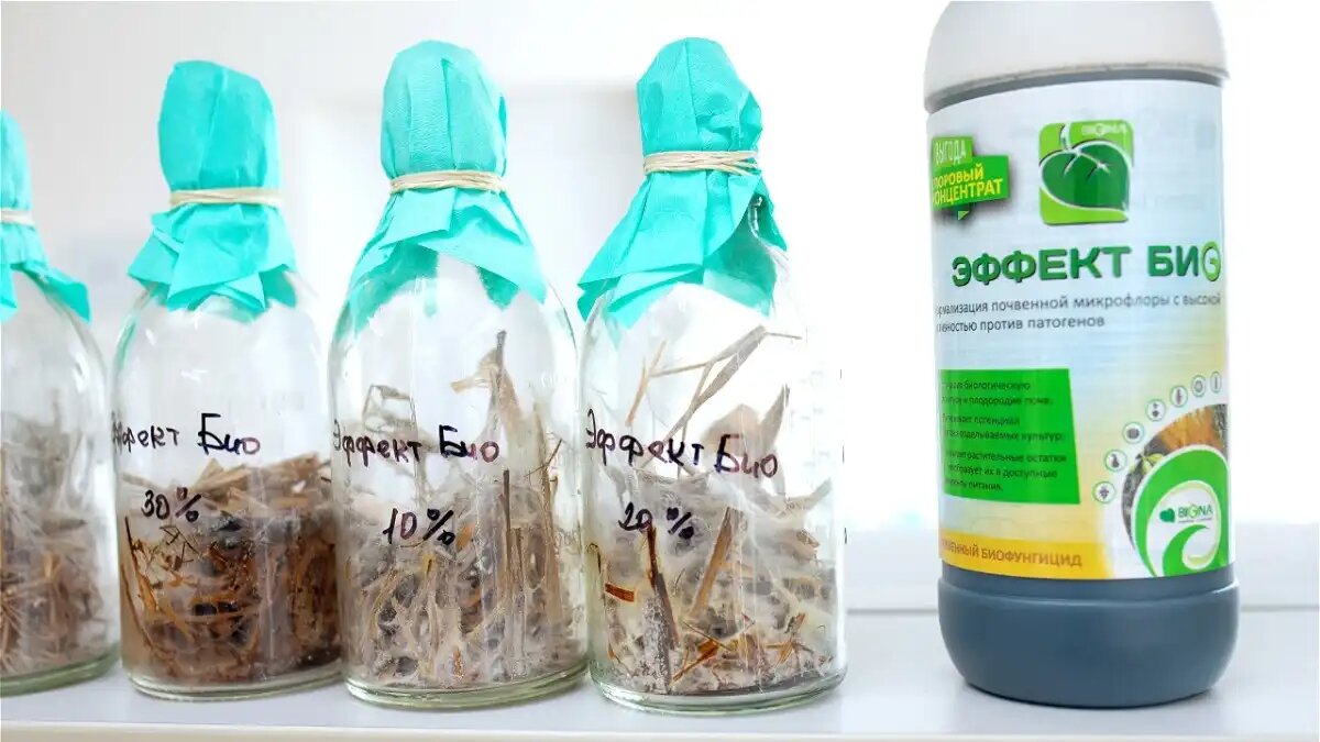 Фото: пресс-служба компании «Биона»
Эксперты компании «Биона» представили решения для биологизации сельского хозяйства на круглом столе в Ставрополе