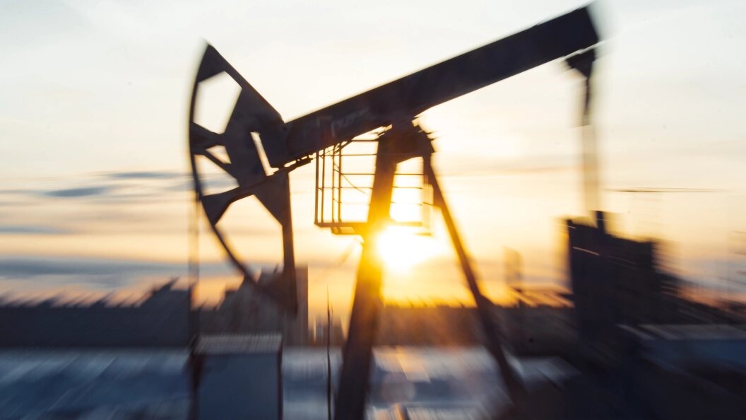    Фото: © Oleg Spiridonov/Business Online/Globallookpress