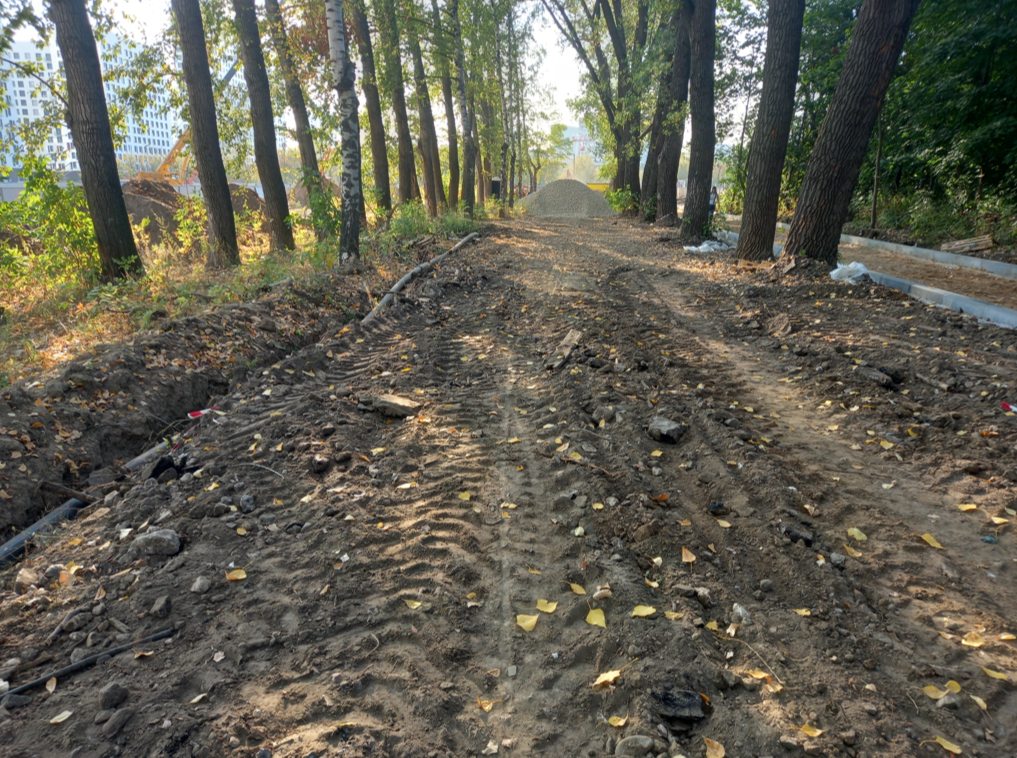 Несомненный вред природе - полностью уничтоженная строительной компанией подстилка