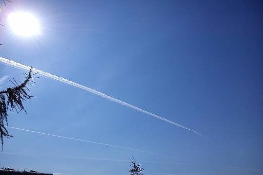    Попов заявил о необходимости расследования из-за видео блогерши в военном самолете