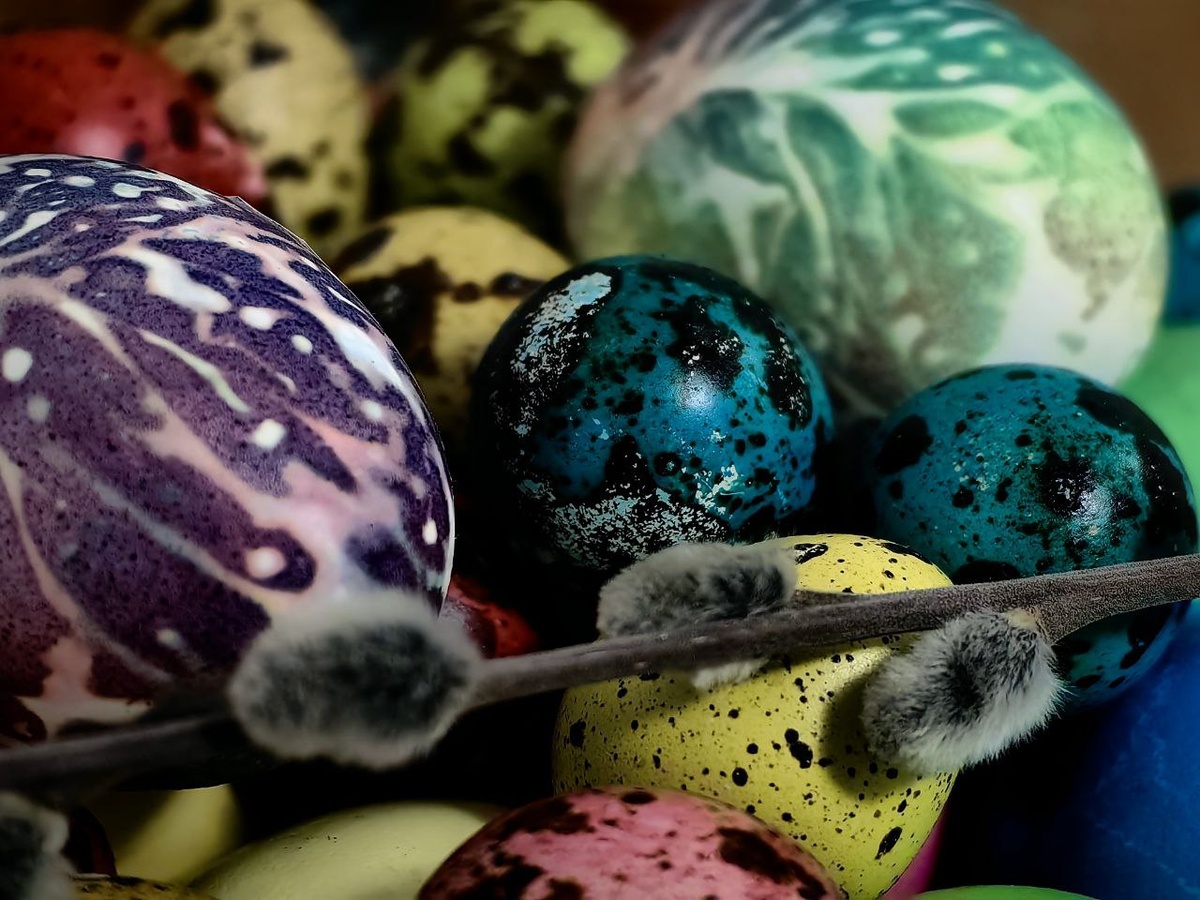 Фото из архива «МК в Калининграде».