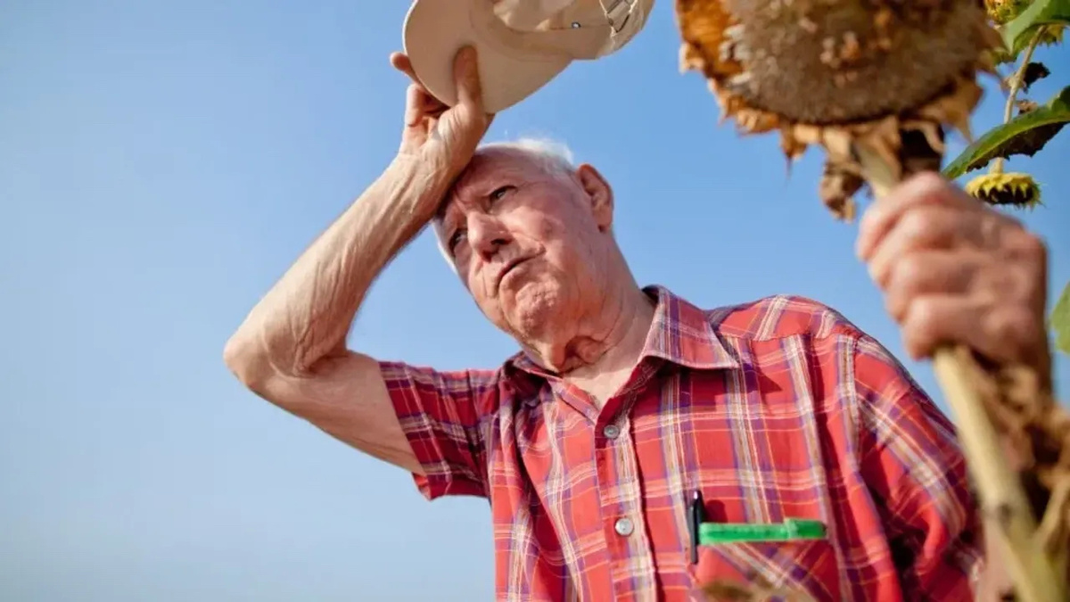 Льготы, как обычно, не только для пенсионеров