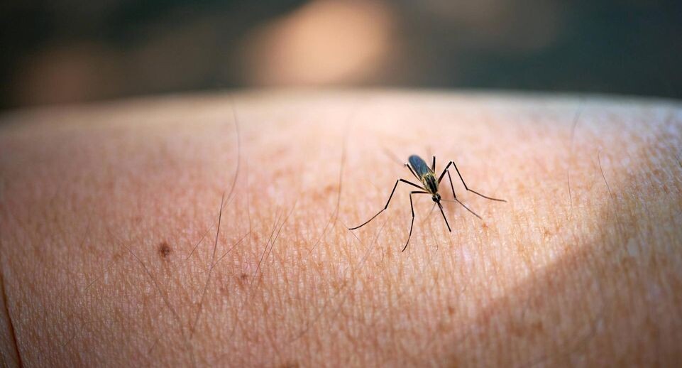    IMAGO/Robert Kalb / www.globallookpress.com