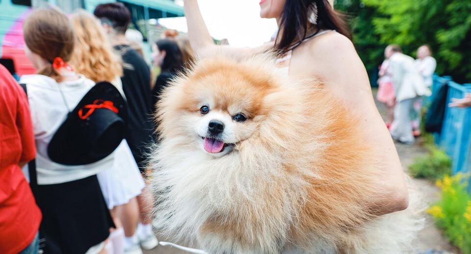    Пресс-служба Министерства сельского хозяйства и продовольствия Московской области