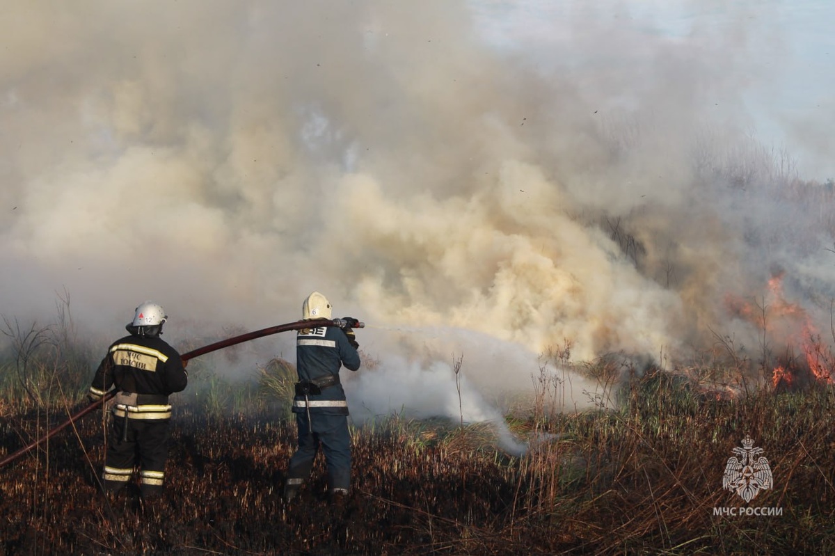 Фото: ГУ МЧС России по Курской области