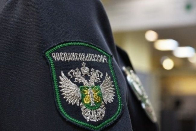    Фото: Александр Кондратюк, РИА Новости