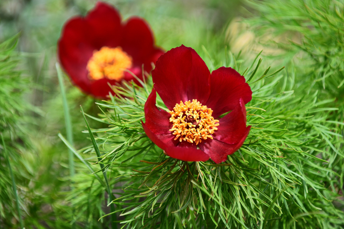 Правильное устремление человека 