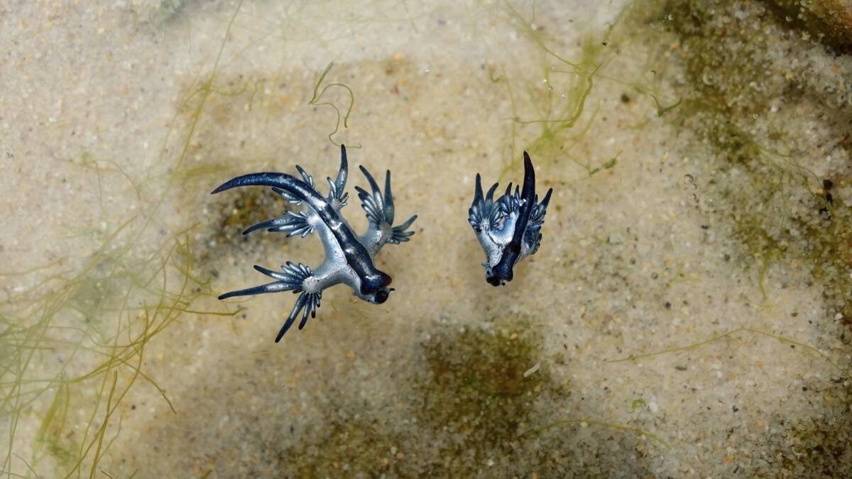    Фото: Shutterstock