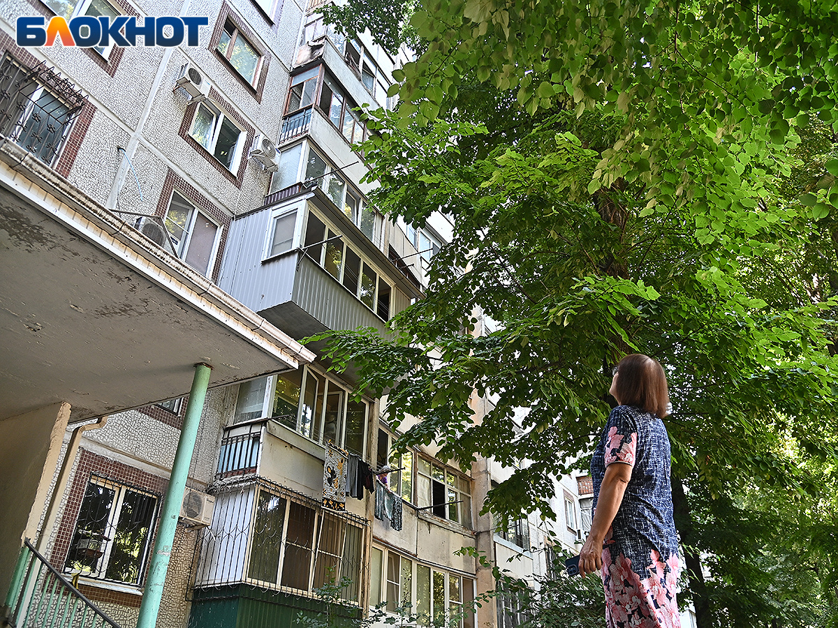 Женщина рассказала о соседке, которая держит дома более 10 кошек