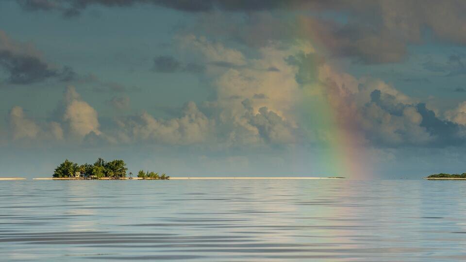 Фото: © www.globallookpress.com/Michael Runkel/imageBROKER.com