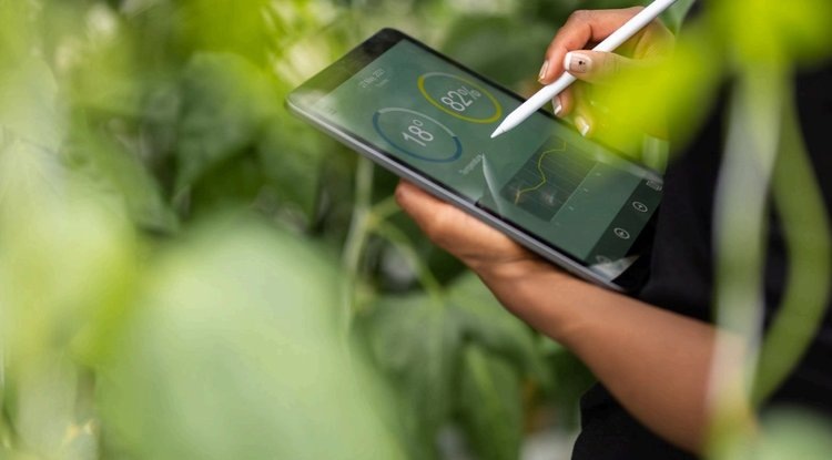    «КОРУС Консалтинг» исследовал ИТ-тренды в АПК: отрасль делает ставку на ИИ, малый агробизнес – на уникальные решения