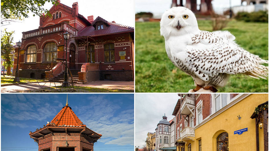     Источник фото здесь и далее: zelenogradsk.com