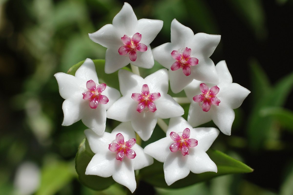 Обложка статьи. Фото из интернета 