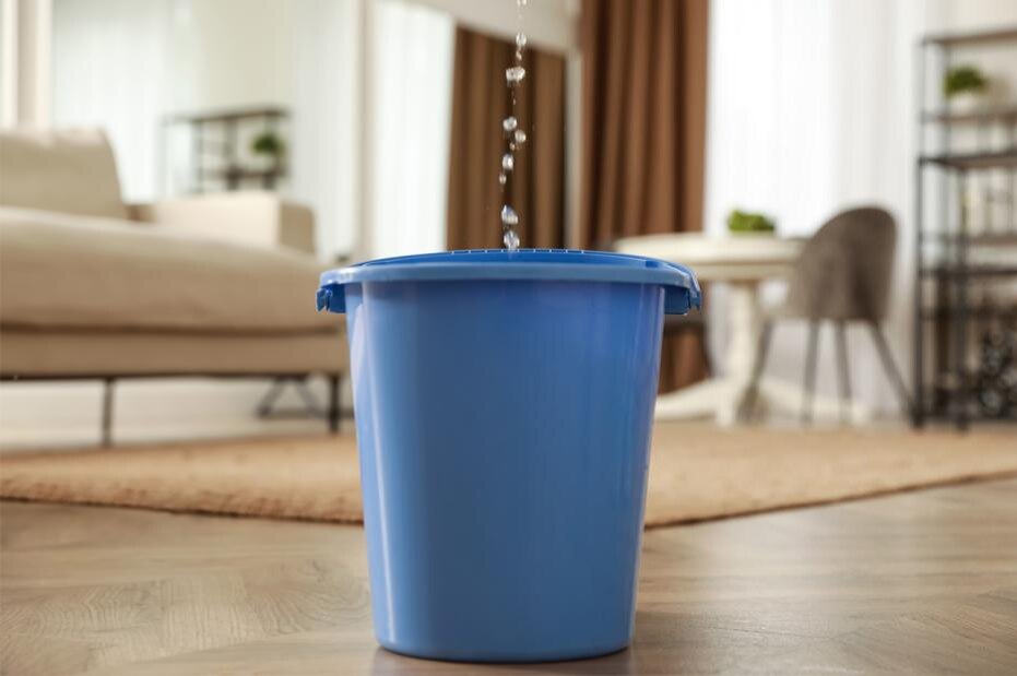    Shutterstock/FOTODOM