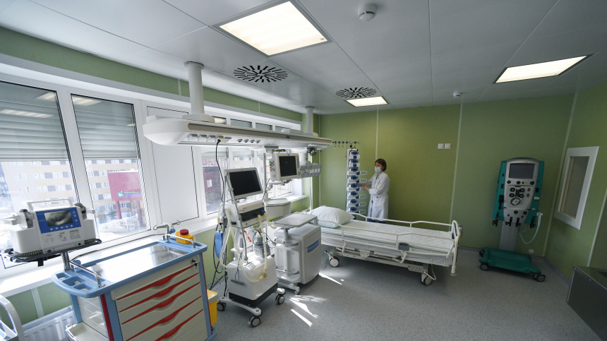    Фото: © РИА Новости/Илья Наймушин; 5-tv.ru