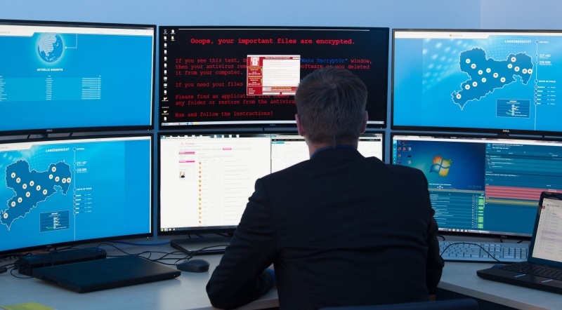    Фото: Sebastian Kahnert/Globallookpress