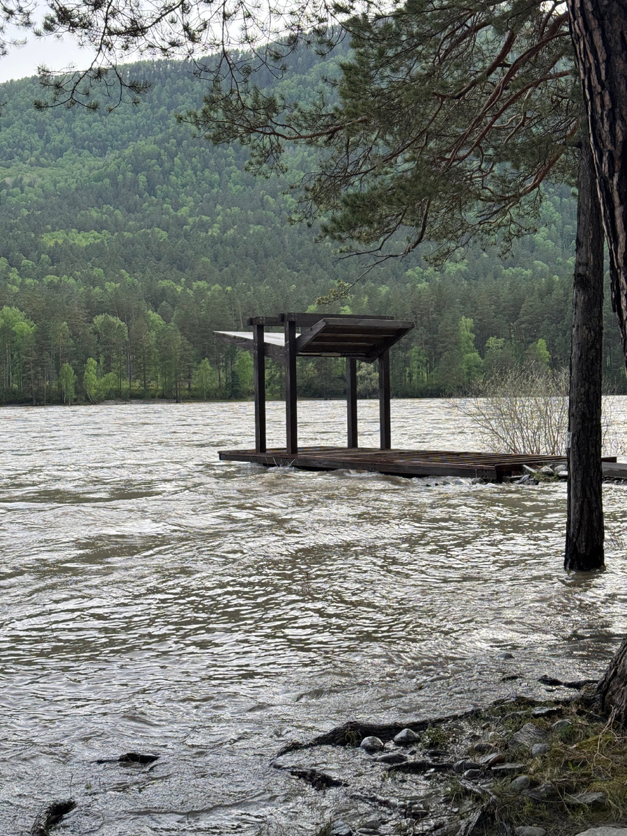 Река Катунь