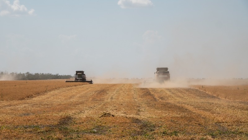      Фото: Александр Скрыпник / / ИА «Победа26»