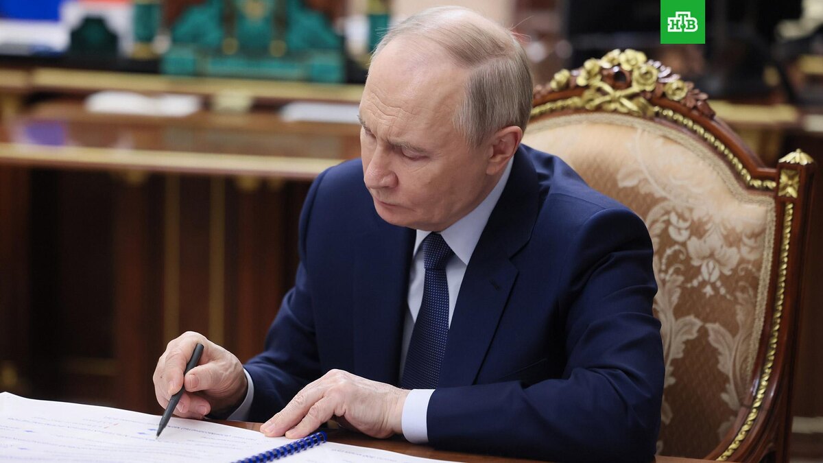    Фото: РИА Новости © 2025, Михаил Метцель