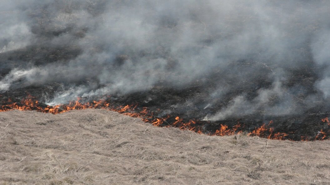    Nikolay Titov/Russian Look/Globallookpress