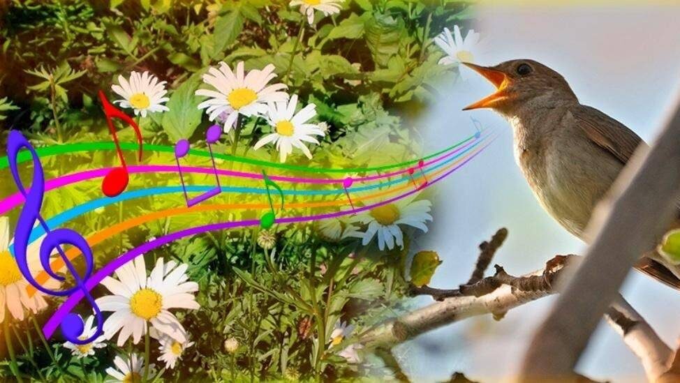 картинка из интернета