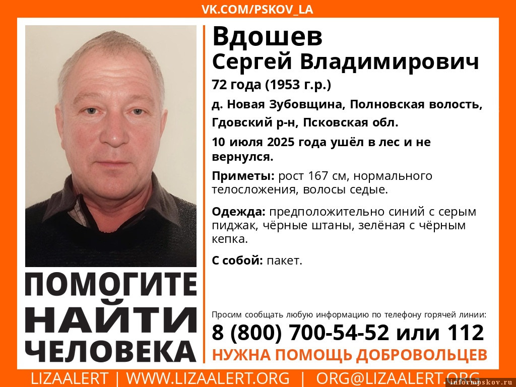 Изображение: «ЛизаАлерт»