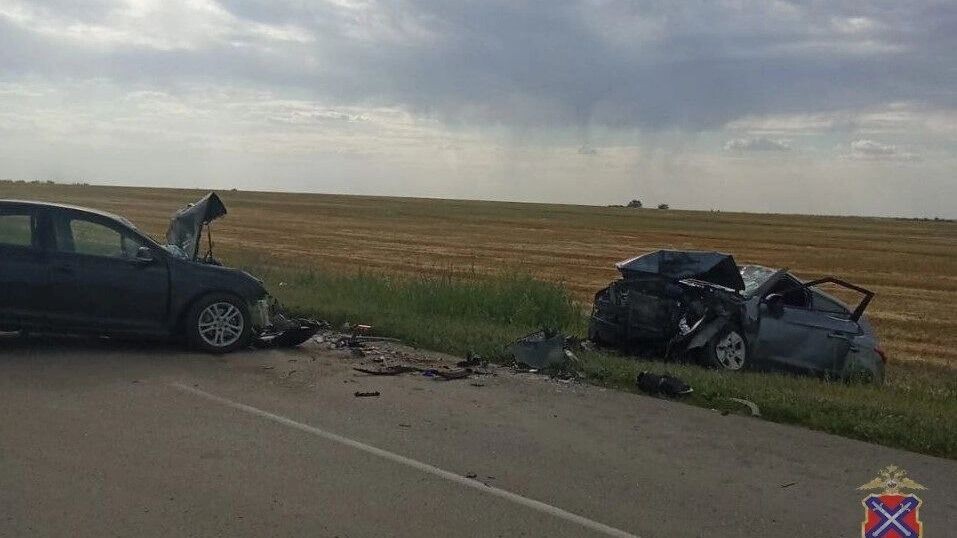     Источник: ГУ МВД России по Волгоградской области