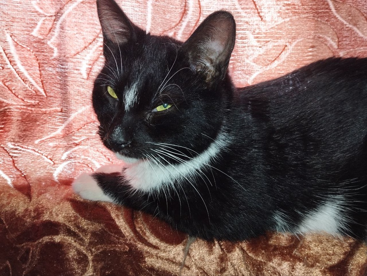 И снова здравствуйте!