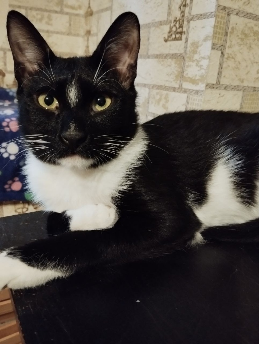 А это опять я! Подрос, вытянулся, похудел!