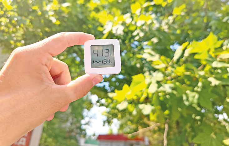 Фото: Михаил Гладчук