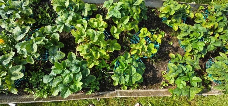    Фото: Лукьянов Дмитрий, AgroXXI.ru